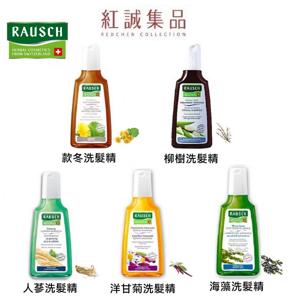 【RAUSCH 羅氏】洗髮精200ml｜洋甘菊/柳樹/款冬/海藻/人參｜紅誠集品