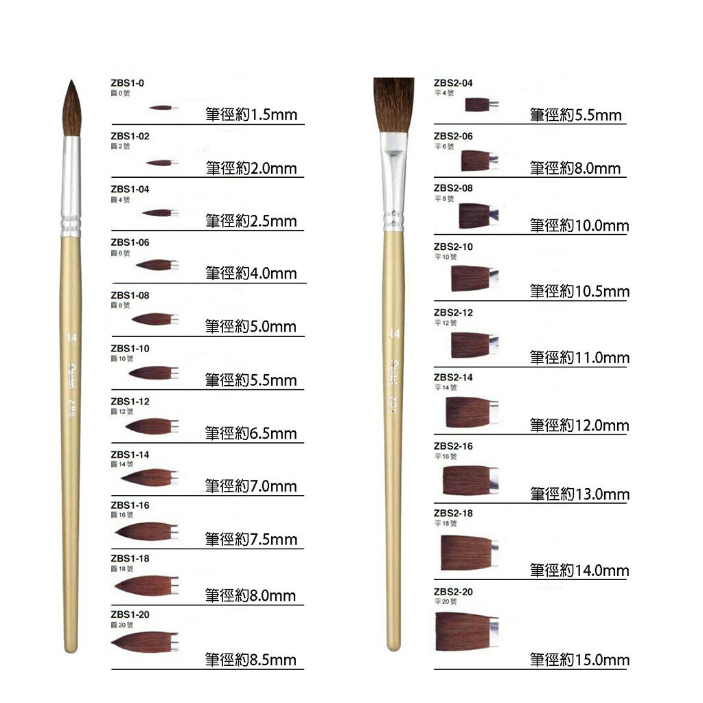 水彩筆 Pentel 飛龍牌 圓頭、平頭 0號-20號 水彩畫筆 水彩 1