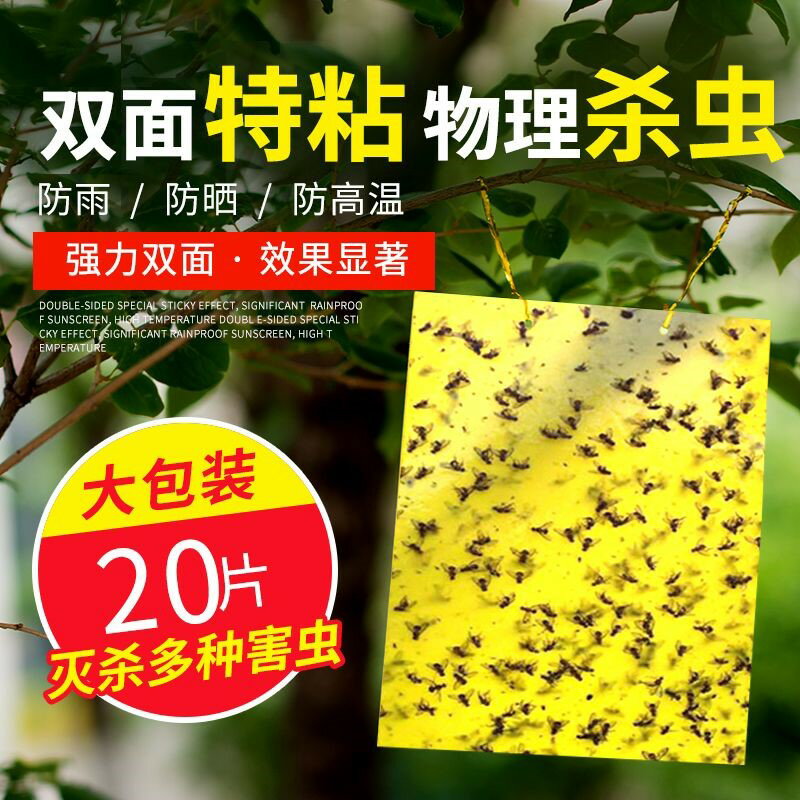 黃板雙面粘蟲板誘蟲板紙貼黃色滅小飛蟲沾果蠅粘板果園薊馬大花棚
