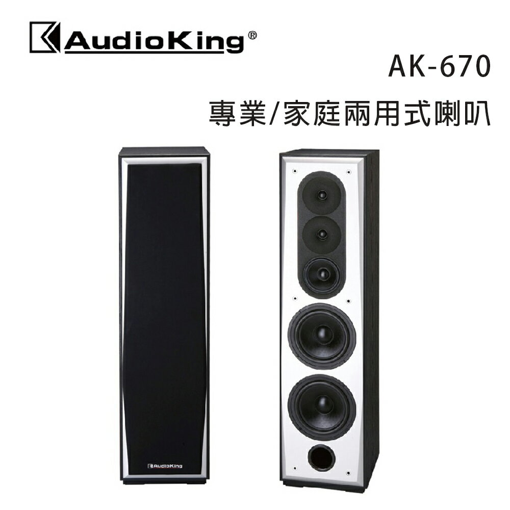 【澄名影音展場】AudioKing 臺灣撼聲 AK-670 專業/家庭兩用式喇叭/對