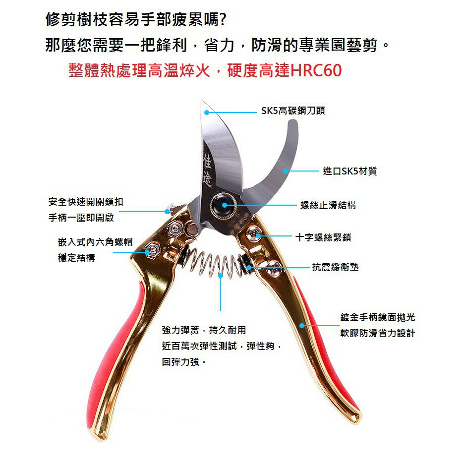 台灣現貨 海綿握把鍍鈦園藝剪 鋁鍛造握把專業園藝剪刀 外銷果樹剪 花剪 SK5高碳鋼 bypass pruner 4