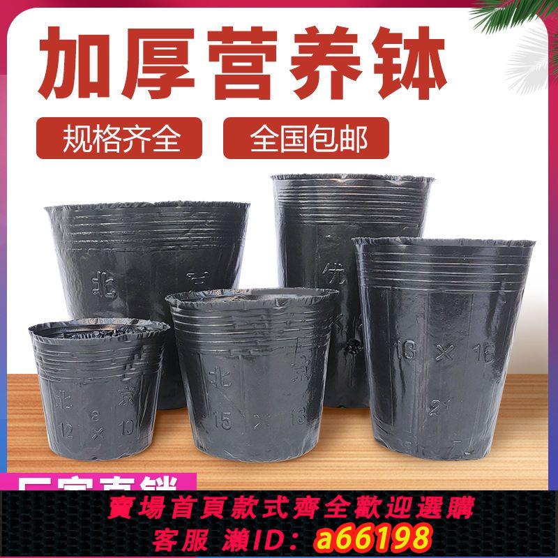 【臺灣公司 可開發票】營養杯育苗杯一次性黑色營養袋育苗袋大號播種植塑膠育苗盆營養缽
