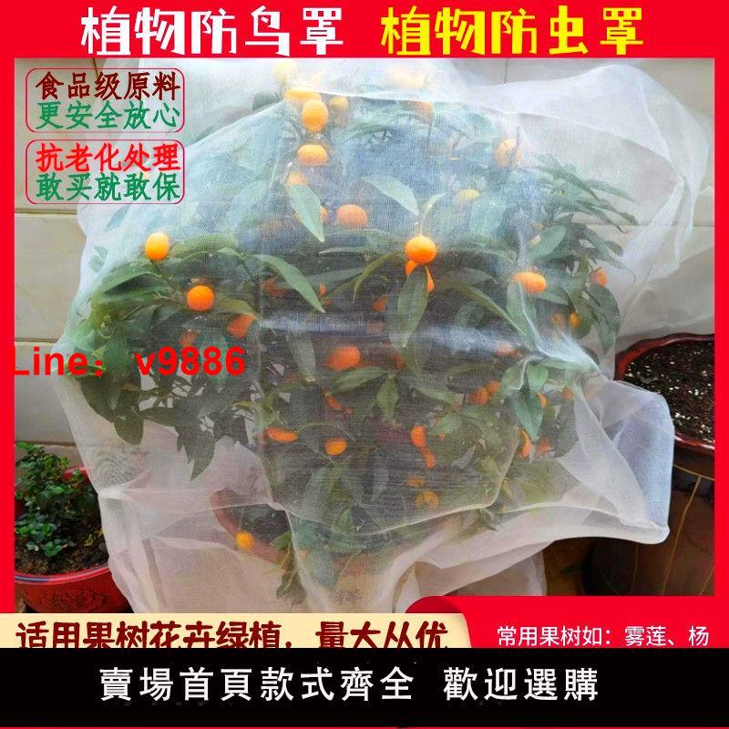 【臺灣公司破盤價】果樹防蟲防鳥網罩櫻桃楊梅石榴霧蓮蔬菜水果花卉防果蠅套袋網紗網
