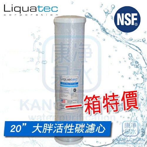 ◤免運費◢ 美國 NSF 42認證 LIQUATEC 20吋 大胖通用規格/標準規格 CTO活性碳濾心【一箱6支】