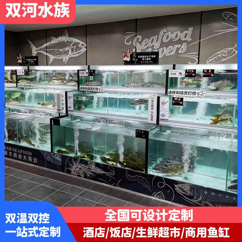 公司貨 免運可開票 酒飯店商用大型海鮮魚缸魚池貝類池蝦蟹玻璃黑魚缸暫養池製冷定做