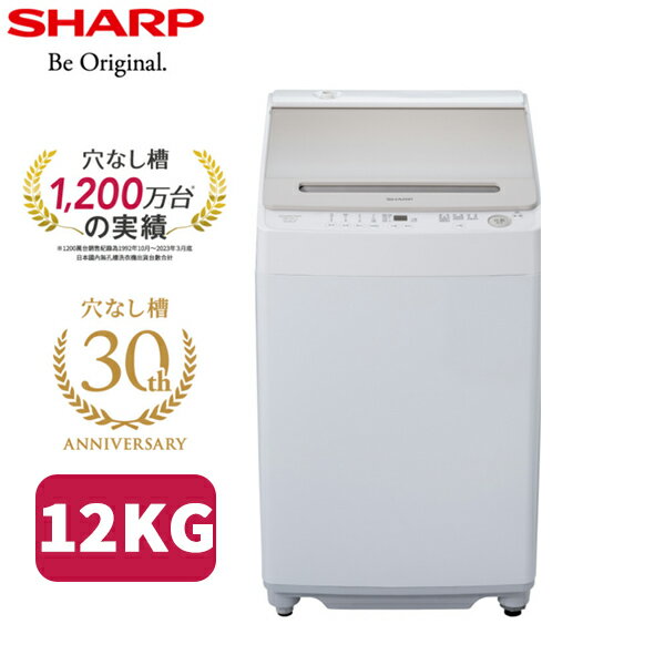 SHARP夏普 12KG 無孔槽變頻洗衣機 ES-ASG12T