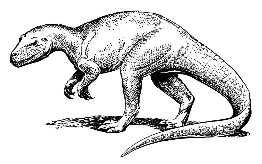 allosaurus period