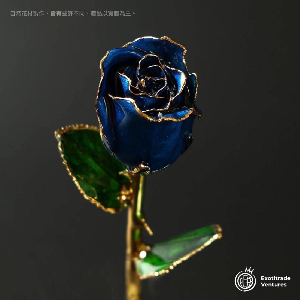 24K金 永恆鍍金珍藏玫瑰_藍色 0