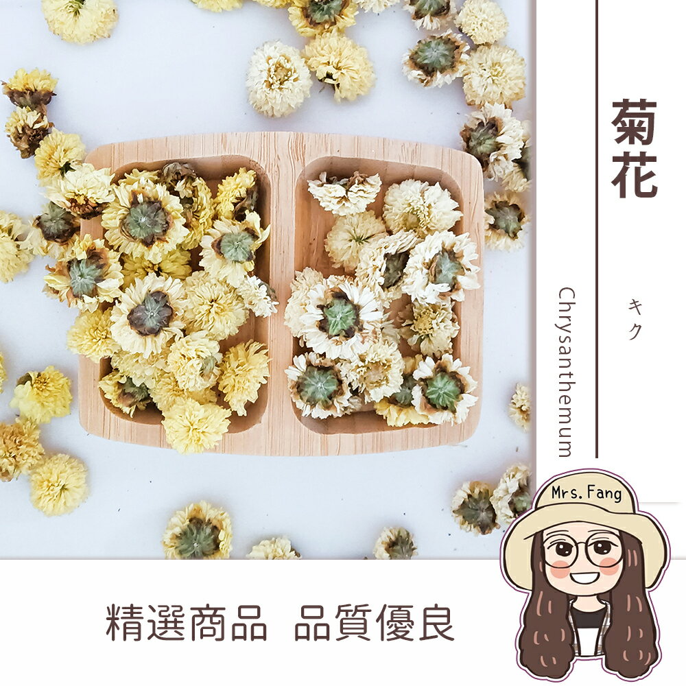 【日生元】頂級台灣苗栗銅鑼新杭菊 手摘白菊 手摘黃菊 75g 無農藥檢驗合格 附檢驗報告