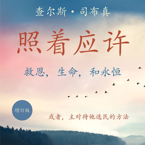 照着应许【有聲書】