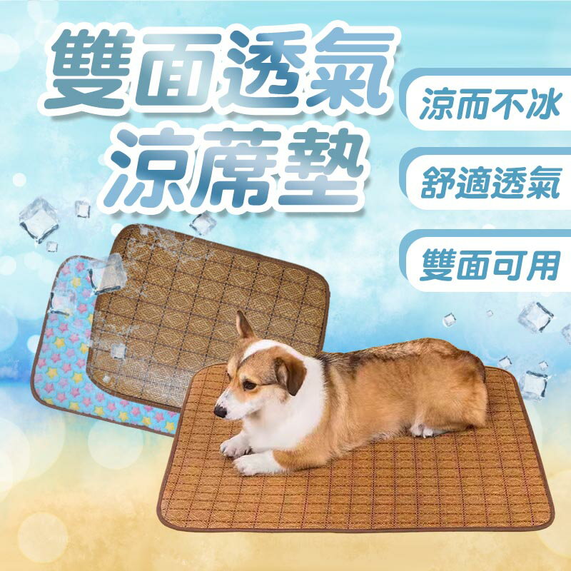 四季兩用墊 雙面透氣涼蓆墊 寵物涼蓆墊 貓狗睡墊 寵物睡墊 寵物窩 寵物涼墊 寵物床墊 涼爽透氣【20224001】