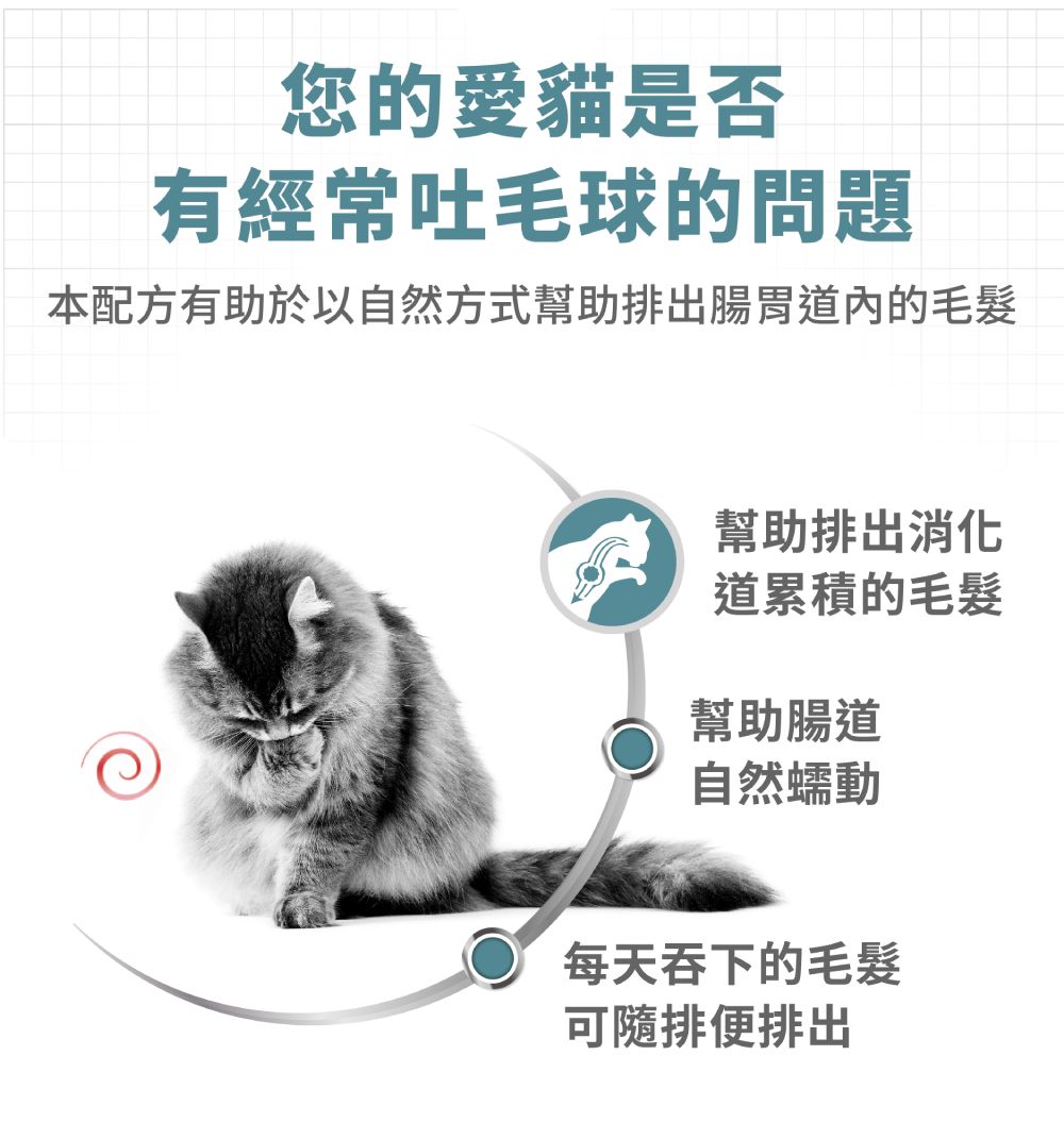 法國皇家ROYAL CANIN 【IH34有效化毛】保健成貓專用飼料2kg /4kg 以自然方式 幫助排出腸胃道內的毛髮 3