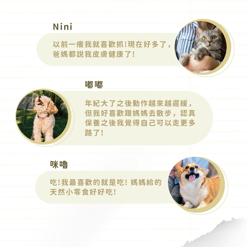 金牌鏟屎官 藍藻益生菌膠囊-天然全方位營養補充 30粒／瓶 貓咪 狗狗 6