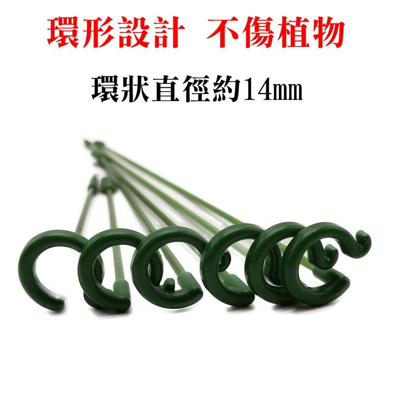 【珍愛頌】N423 花盆支架 花劍支架 蘭花支架 花卉造型 蝴蝶蘭支架 多肉花架 攀爬支柱 支撐桿 爬藤架 防倒 護葉 4