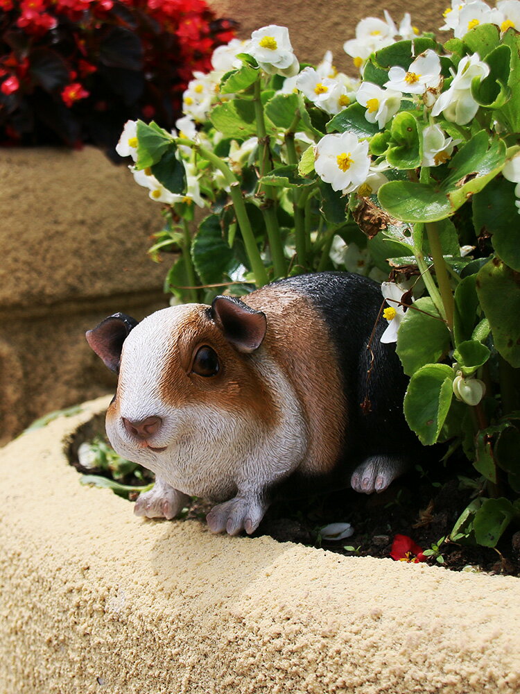 仿真動物豚鼠擺件別墅花園裝飾庭院可愛卡通模型倉鼠鄉村農莊擺設