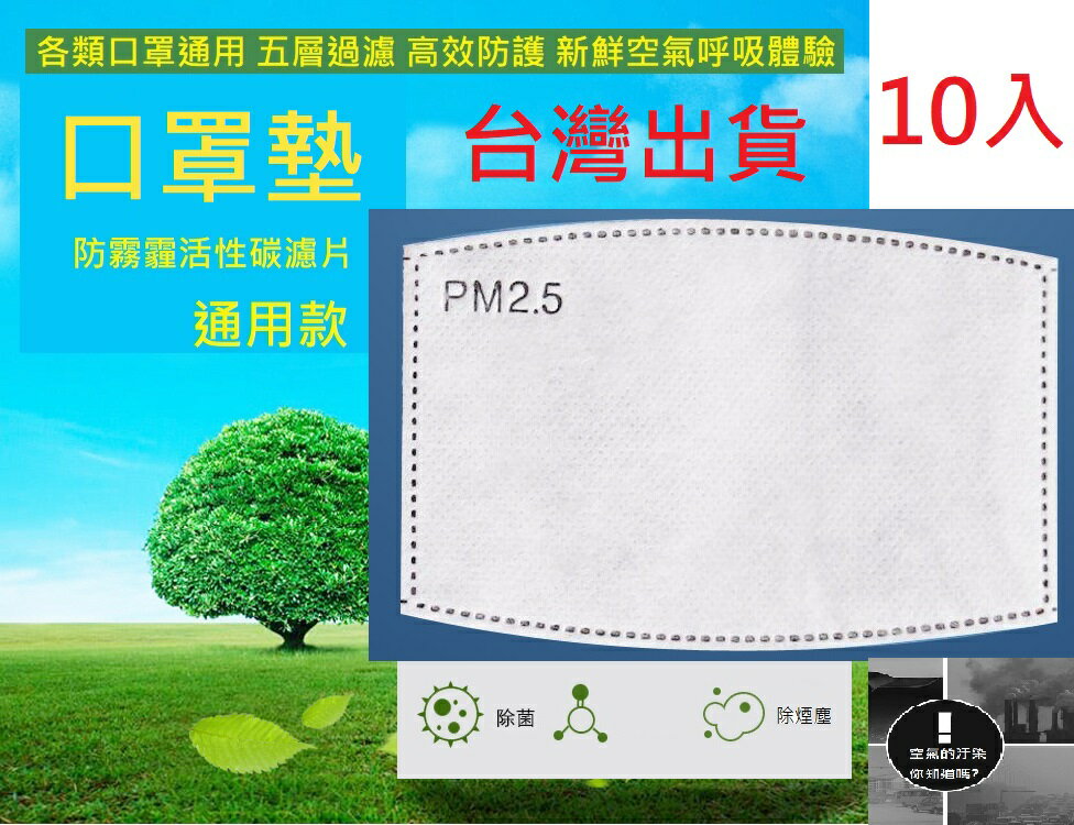 大賀屋 五層 PM2.5 10入 口罩墊 拋棄式 口罩內襯 口罩防護墊 口罩內裡 口罩替換片 活性碳 C00010214