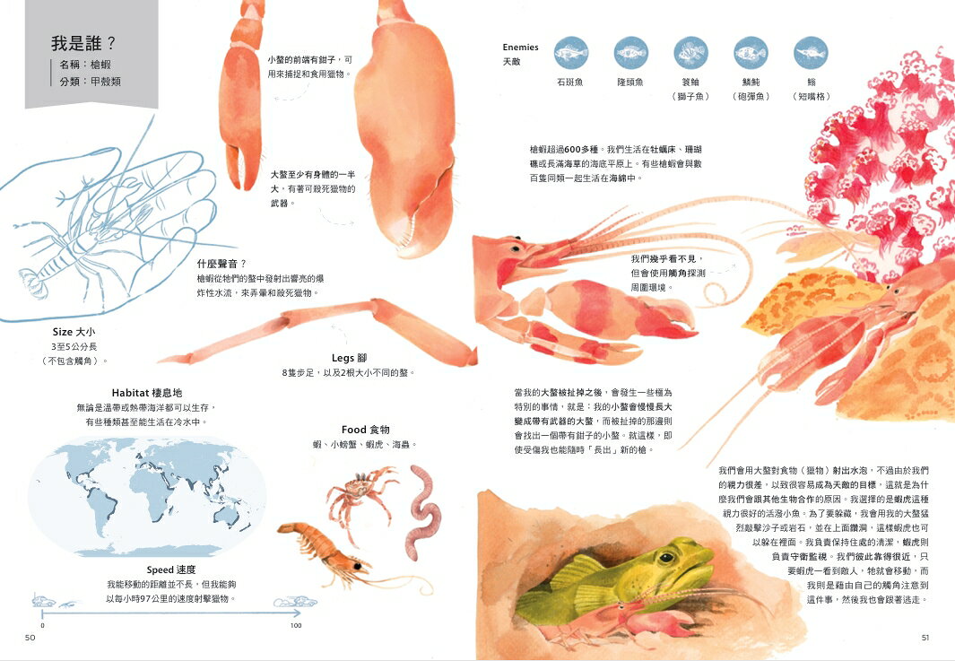 誰是動物大聲公？〔動物繪本圖鑑4〕：首批限量加贈「有聲動物小 6
