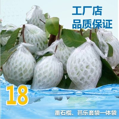 【芭樂套袋一體袋-標準厚款-500套/件-1件/組】水果套網防蟲袋芭樂包裝一體專用袋-5101030