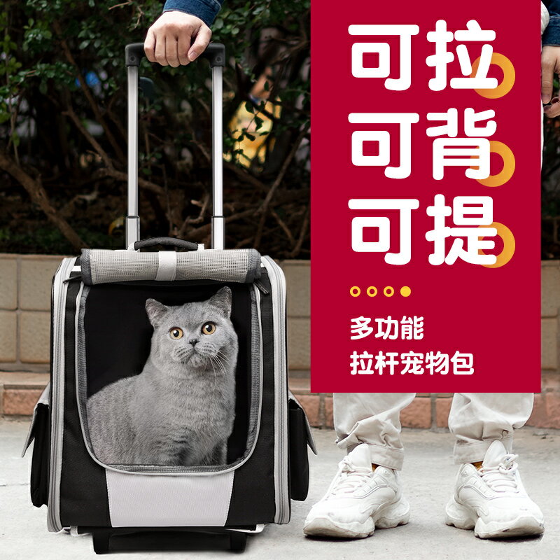 貓包外出便攜冬天寵物背包拉桿箱超大裝貓的雙肩包大容量兩只狗包