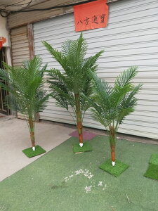 假綠植散尾葵鳳尾竹仿真樹盆栽植物夏威夷棕櫚椰子樹扇葵客廳裝飾