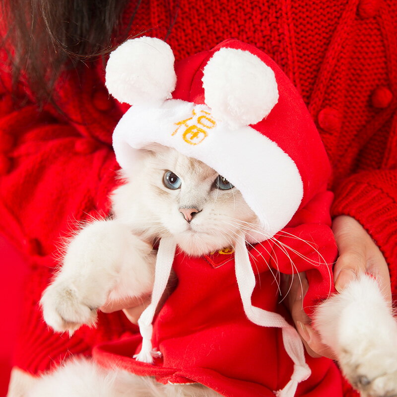 新年貓咪衣服冬季保暖小貓貓布偶藍貓防掉毛寵物秋冬裝【不二雜貨】