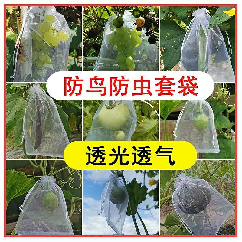 【新店促銷】水果套袋防鳥透氣專用網袋葡萄無花果枇杷草莓楊桃子保護袋子