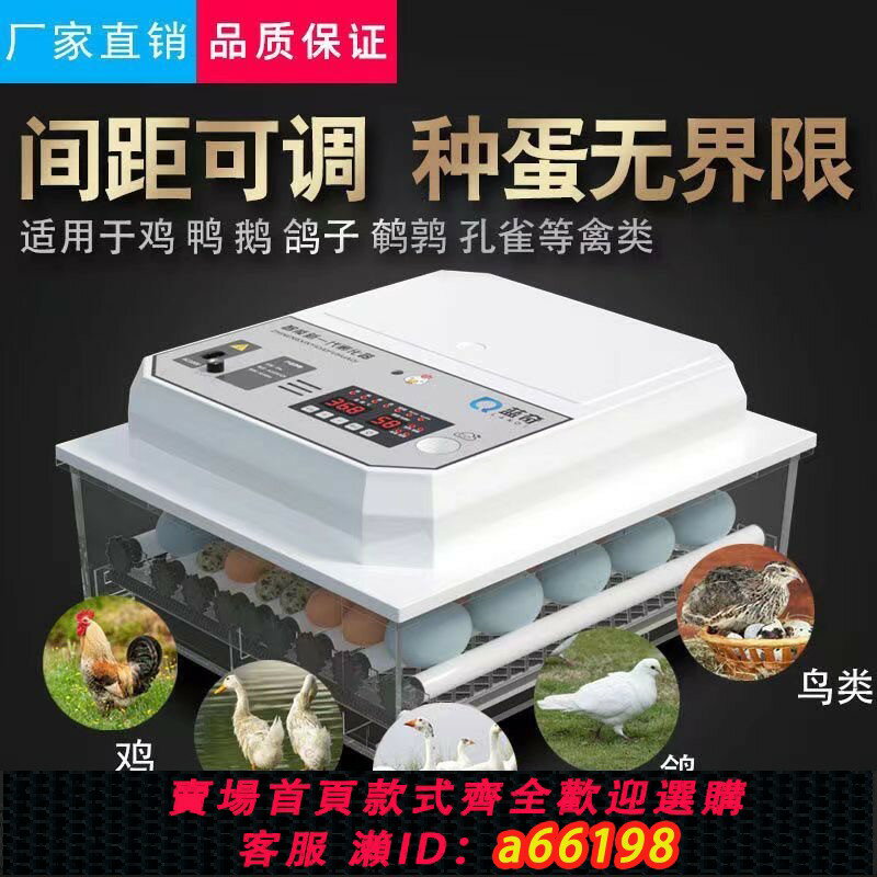 【臺灣公司 可開發票】【110V專用】孵化器小型家用全自動孵化機雞鴨鵝鴿孵蛋器孵化箱