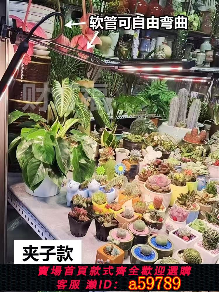 【臺灣公司 可打統編】太陽光植物補光生長燈全光譜多肉蔬菜花卉綠植育苗可定時110V220V