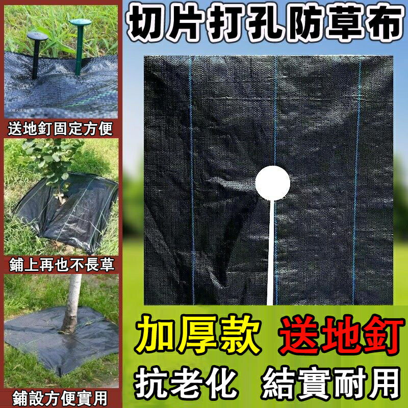 防草布 切片除草布 裁片單張打孔果園加厚 抗老化 透氣 透水 PE防草地布