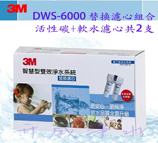 【全省免運費】3M智慧型雙效淨水系統 DWS6000 替換濾芯組合(活性碳+軟水濾心共2支)