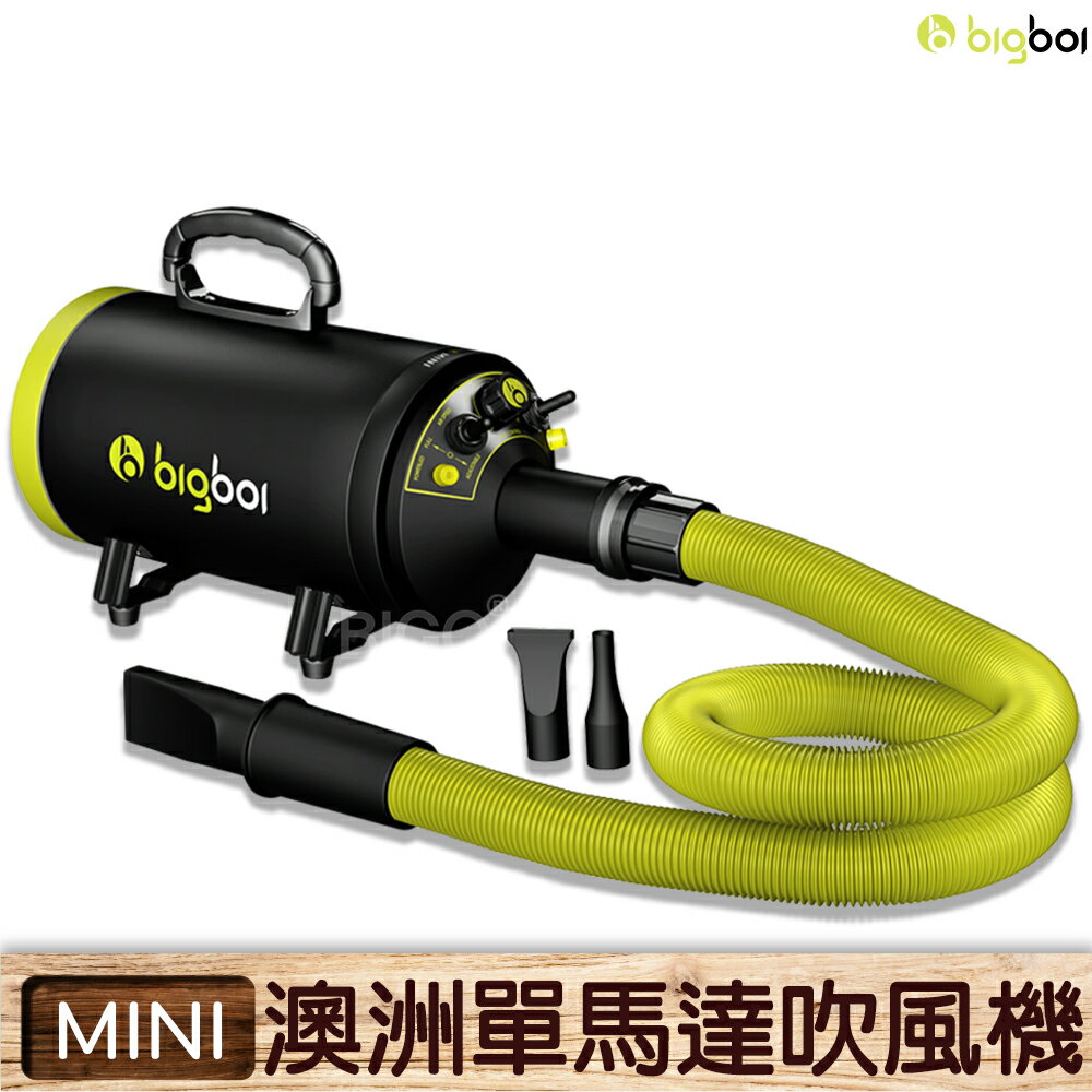 【原裝進口】澳洲 bigboi MINI 寵物單馬達吹風機 吹水機 寵物美容 毛髮風乾 汽機車用 汽車美容 居家清潔