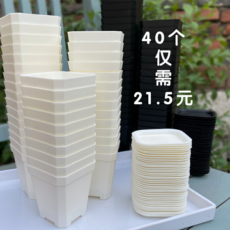 熱賣八角加厚小白方多肉花盆特厚塑膠方形植物葉插育苗盆大黑方盆