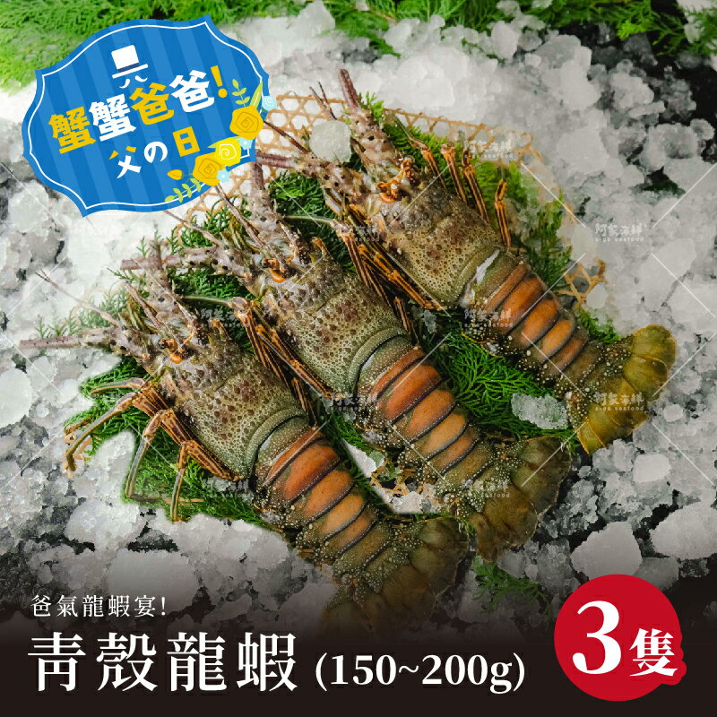 【阿家海鮮】中秋持續熱銷中｜〔爸氣龍蝦宴〕青殼龍蝦(150/200)3隻(10%冰)