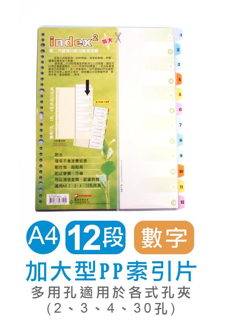 DATABANK 晉頎 加大12段PP隔頁片(數字) D-VID12P