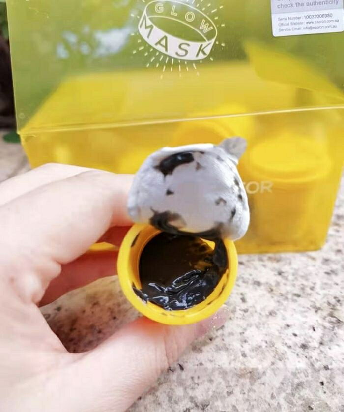 澳洲 Eaoron 瑩亮保濕清潔 小杯杯面膜泥膜系列(1盒7入) (有中標) CICIGO 預購 3