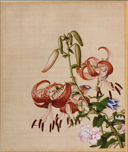 仿古畫名畫復製品清郎世寧百合花牡丹圖47-39釐米花鳥畫中國畫字