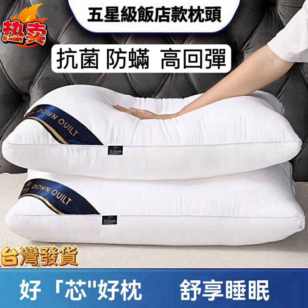 ❤枕頭送枕套 枕頭 家用枕頭 可水洗枕頭 舒眠枕頭 枕頭 飯店枕頭 防蟎枕不塌陷 記憶枕 低中高枕