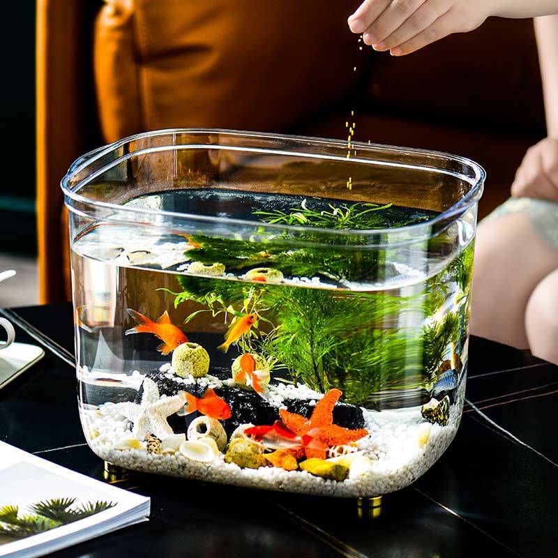 魚缸小型家用客廳高畫質透明塑料盒防摔魚缸一體成型無縫水族箱烏龜