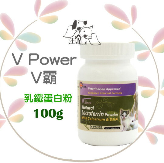 英國V Power V霸 乳鐵蛋白粉 100g
