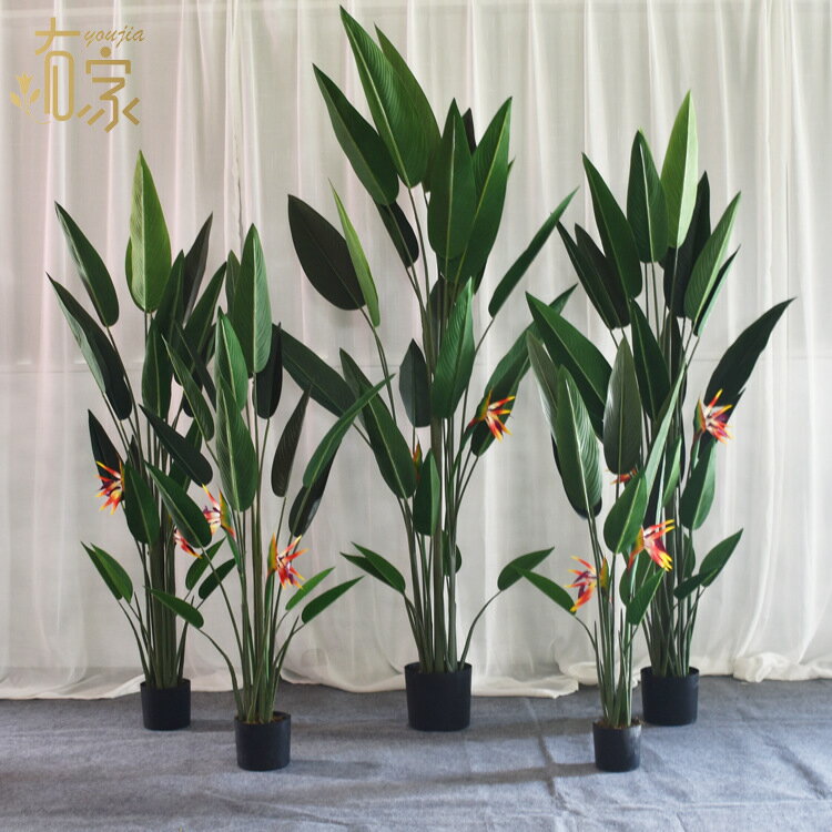 模擬綠植 發財樹 仿真植物 盆栽 盆景北歐模擬綠植天堂鳥盆栽大型室內裝飾擺件假樹落地美人蕉仿真植物