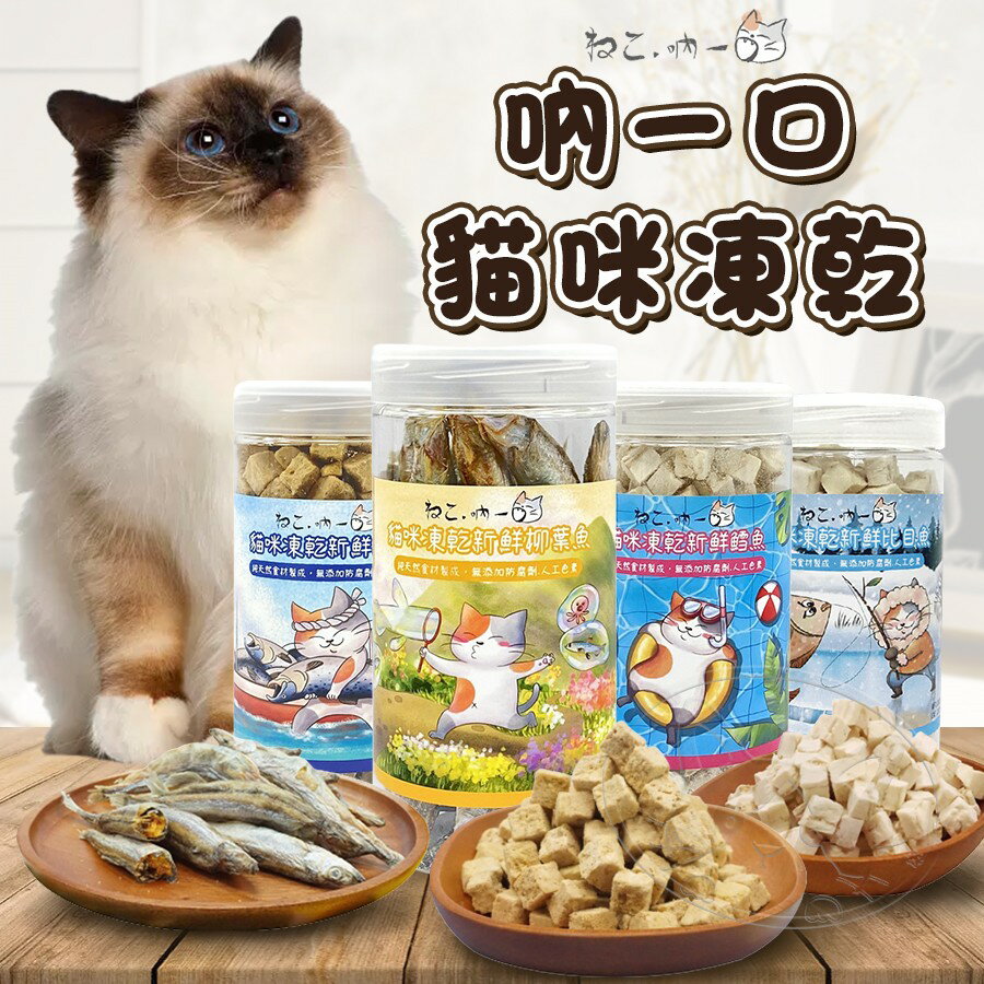 Neko 吶一口 貓用凍乾 貓零食 寵物零食 貓凍乾 韓國製造 海鮮凍乾 天然凍乾