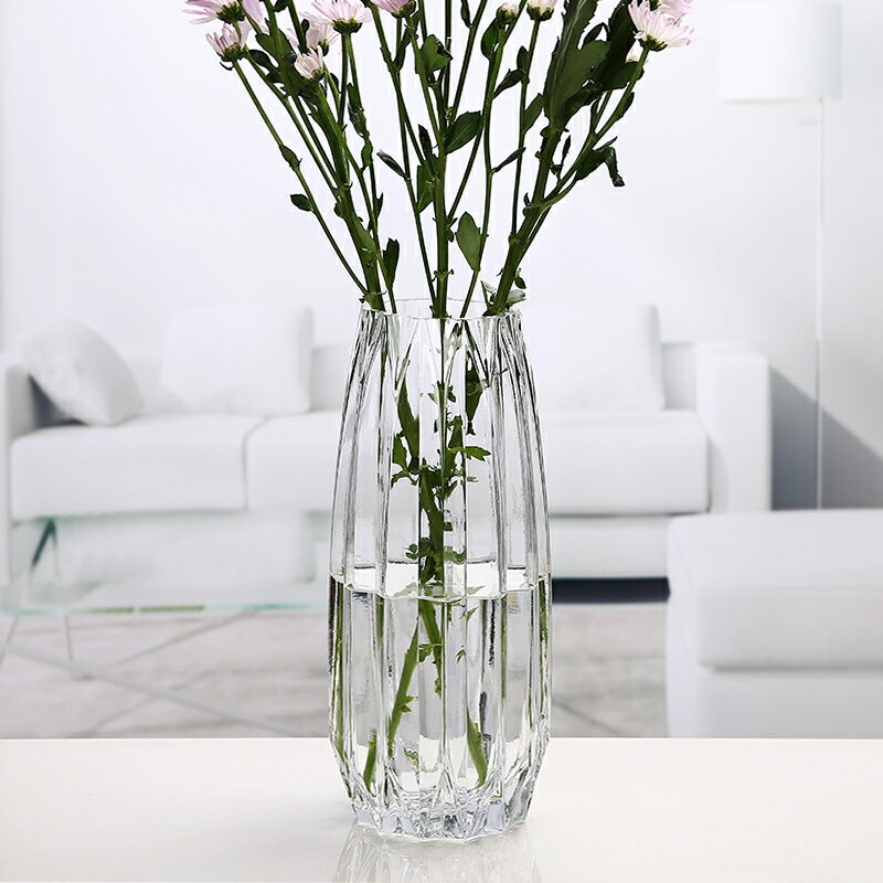 加厚新歐式大號玻璃透明花瓶客廳臺面插花水培富貴竹干花花器擺設