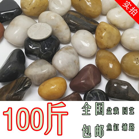 100斤天然鵝卵石鋪路庭院鋪地造景石頭雨花石魚缸花盆石子鵝軟石 協貿國際日用品生活6館 樂天市場rakuten 100斤天然鵝卵石鋪路庭院鋪地造景石頭雨花石魚缸花盆石子鵝軟石 協貿國際日用品生活6館 樂天市場rakuten