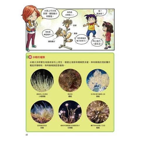 漫畫大英百科 生物地科14 無脊椎動物 樂天書城直營店 樂天市場rakuten 漫畫大英百科 生物地科14 無脊椎動物 樂天書城直營店 樂天市場rakuten