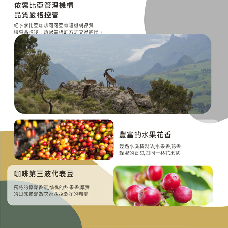 伊索匹亞 耶加雪夫濾掛咖啡 Ethiopia Yirgachefee | DALLYN世界嚴選莊園★滿299元超取免運 , 滿1500元店家宅配免運★ 6
