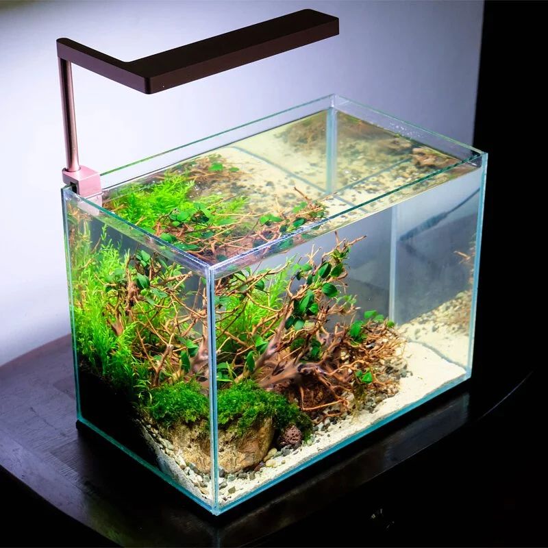 ONF｜Flat Nano 水陸植物培育燈具（玫瑰金）