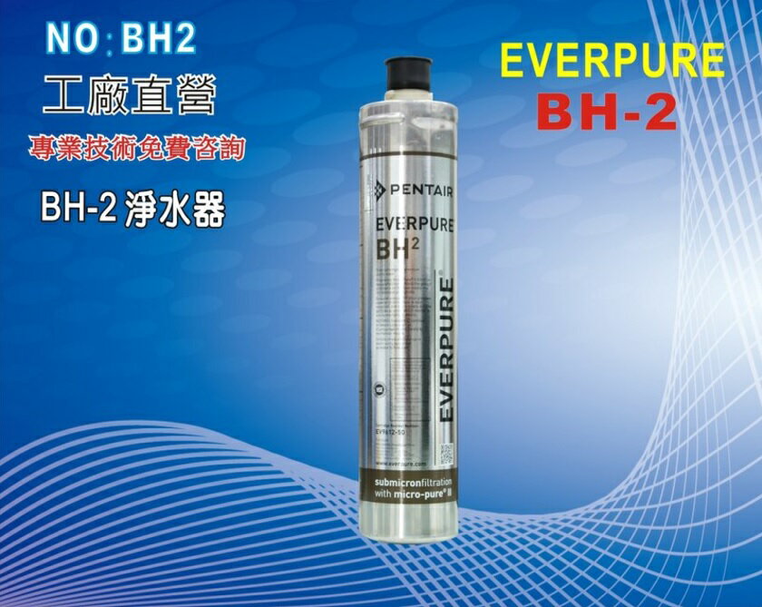 【龍門淨水】Everpure/BH2淨水器. 另售S100、S104、H104、4C、4DC、H100 (貨號BH2)