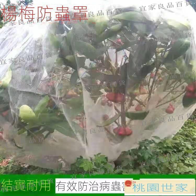 【宜家良品百貨】免運 防鳥網 防蟲網 防蟲網罩楊梅網罩果樹櫻桃防風防鳥網罩多肉蓮霧桃樹大棚專用罩子