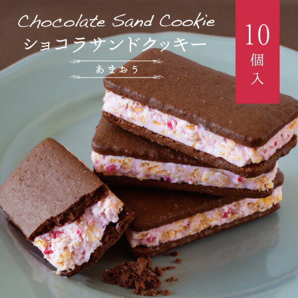 博多巧克力夾心餅（甘王草莓）10個裝 甜點 福岡 特產 伴手禮 禮物 日本必買 | 日本樂天熱銷