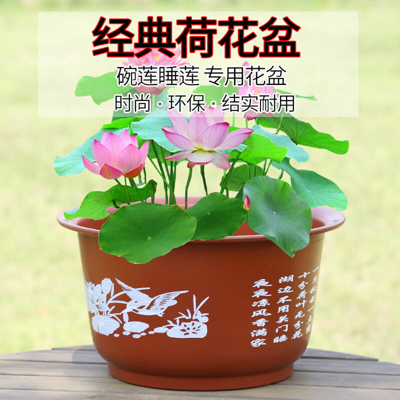 睡蓮花盆/睡蓮盆缸（塑膠） 無孔荷花盆加厚加大花盆仿陶瓷碗蓮睡蓮花盆荷花水培綠植塑膠花盆【CM17119】